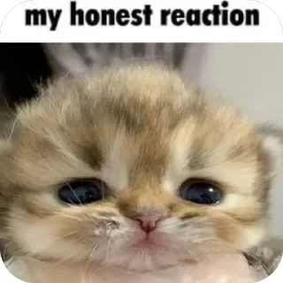 Кто такой СТИКЕРЫ 👇 @ok_sticker_bot — 9