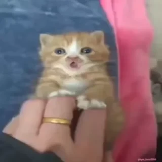 Кто такой СТИКЕРЫ 👇 @ok_sticker_bot — 10