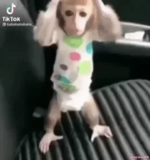 Кто такой СТИКЕРЫ 👇 @ok_sticker_bot — 33