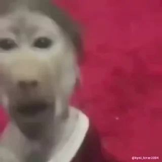 Кто такой СТИКЕРЫ 👇 @ok_sticker_bot — 44