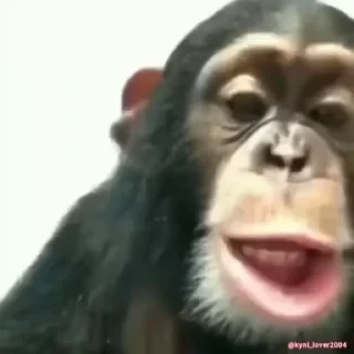 Кто такой СТИКЕРЫ 👇 @ok_sticker_bot — 48