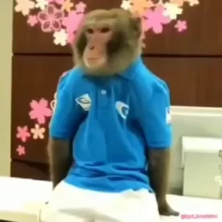 Кто такой СТИКЕРЫ 👇 @ok_sticker_bot — 49
