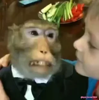 Кто такой СТИКЕРЫ 👇 @ok_sticker_bot — 55