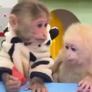 Кто такой СТИКЕРЫ 👇 @ok_sticker_bot — 57