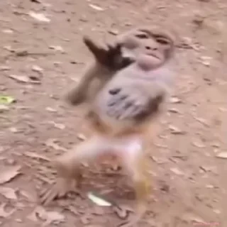 Кто такой СТИКЕРЫ 👇 @ok_sticker_bot — 8