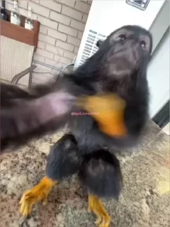 Кто такой СТИКЕРЫ 👇 @ok_sticker_bot — 24