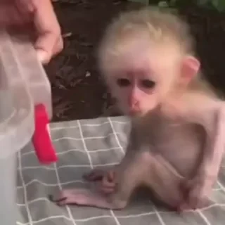 Кто такой СТИКЕРЫ 👇 @ok_sticker_bot — 41