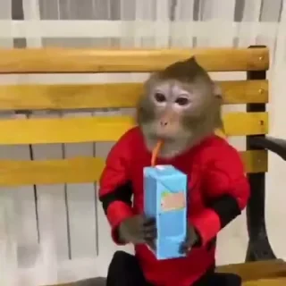 Кто такой СТИКЕРЫ 👇 @ok_sticker_bot — 42