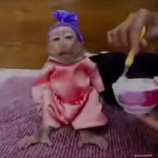 Кто такой СТИКЕРЫ 👇 @ok_sticker_bot — 8