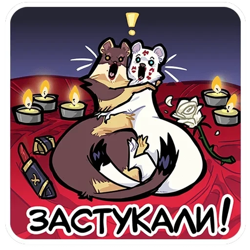 Куна — 15