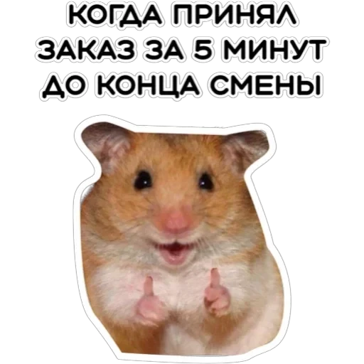 Курьерская сила — 15
