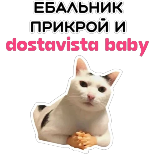Курьерская сила — 17