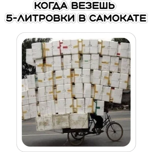 Курьерская сила — 22