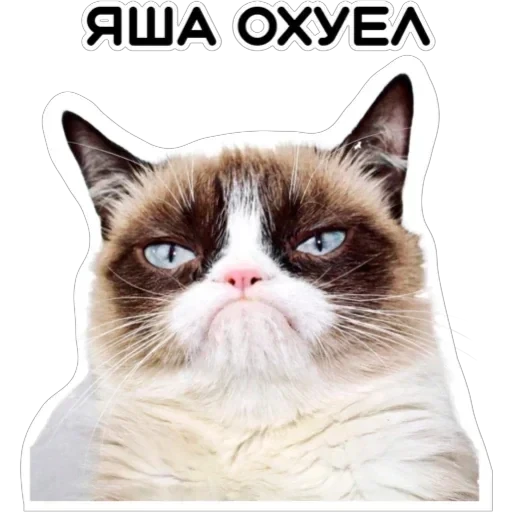 Курьерская сила — 28