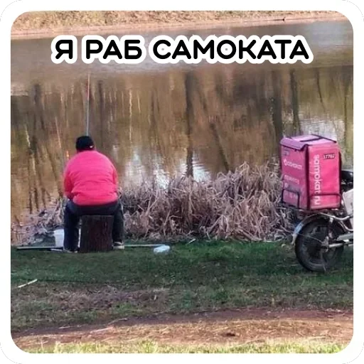 Курьерская сила — 39
