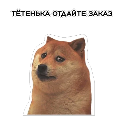 Курьерская сила — 5