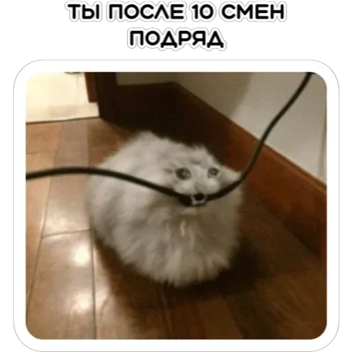 Курьерская сила — 9