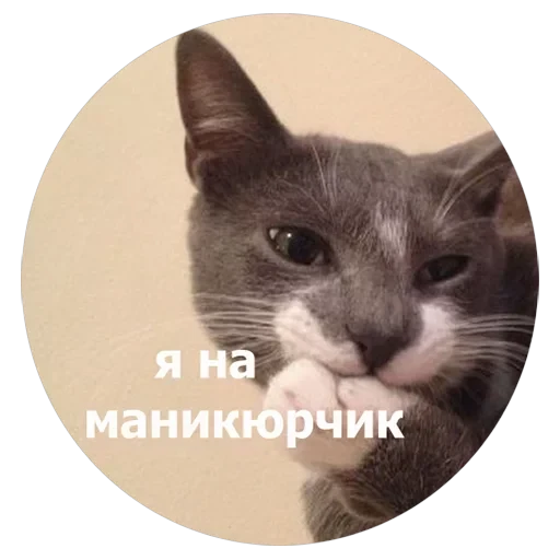 Кусь — 12
