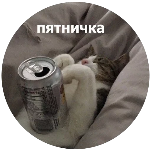 Кусь — 16