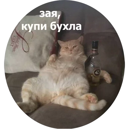 Кусь — 19
