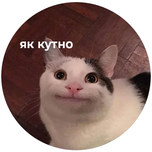 Кусь — 25