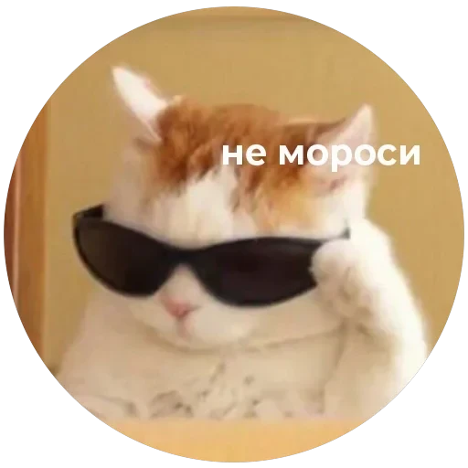 Кусь — 26