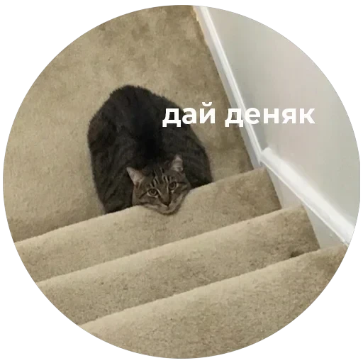 Кусь — 28