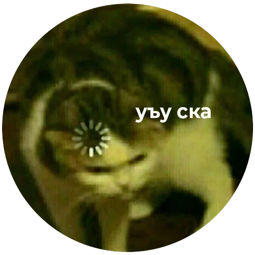 Кусь — 30