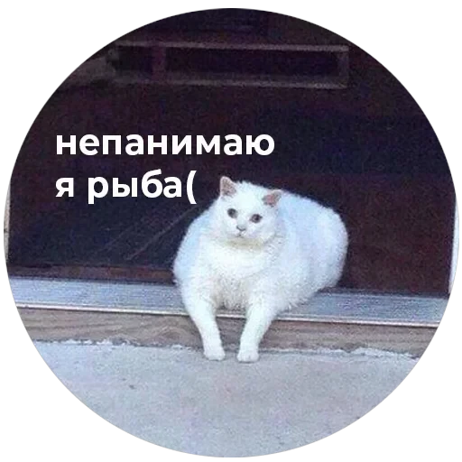 Кусь — 34