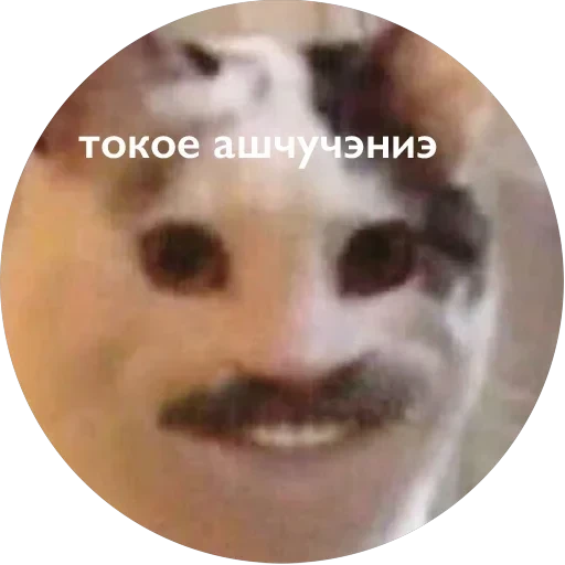 Кусь — 39