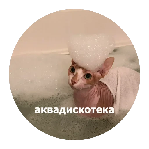 Кусь — 58