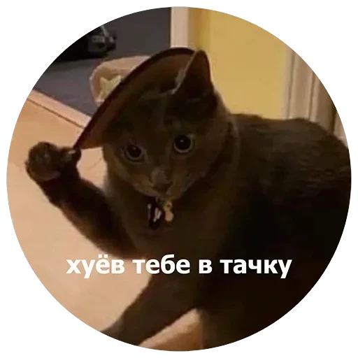 Кусь — 60