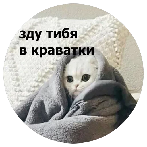Кусь — 10