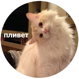 Кусь