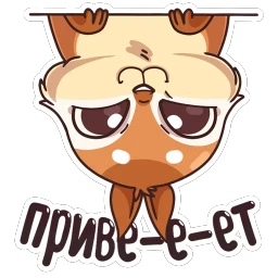 Квип