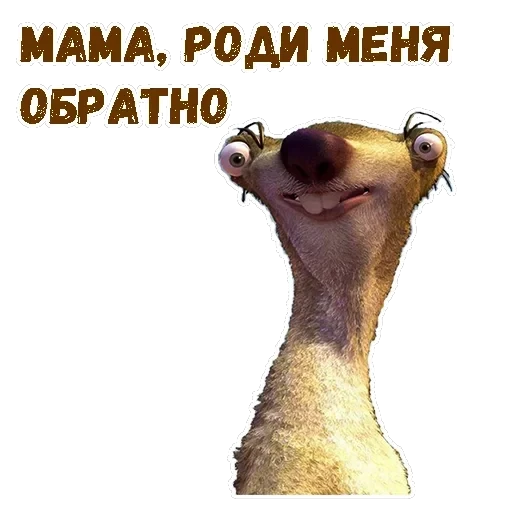 Ленивец Сид — 15