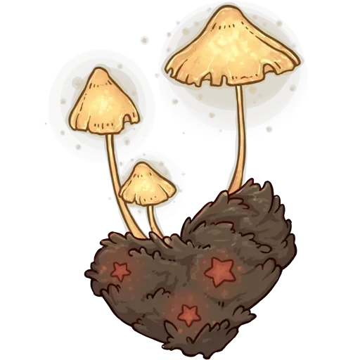 light in the darkness — 6