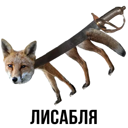 Лисы — 1