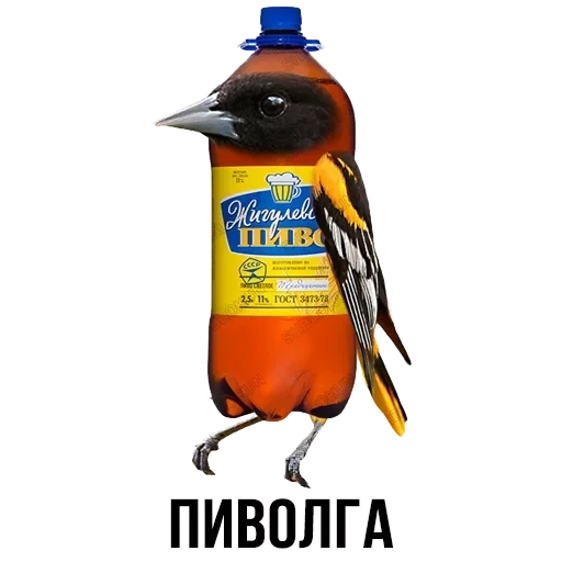 Лисы — 14