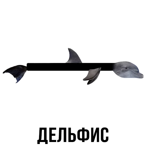 Лисы — 16