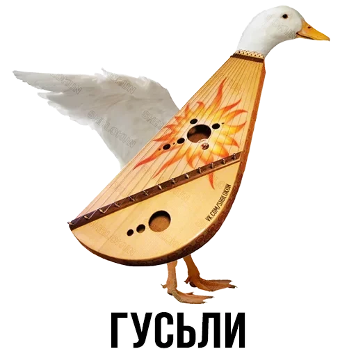 Лисы — 24