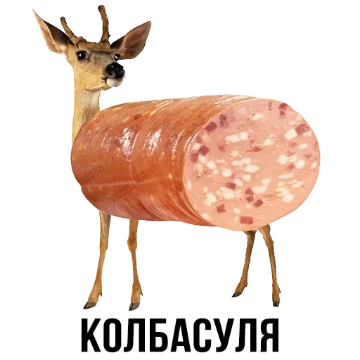 Лисы — 25