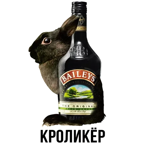 Лисы — 26