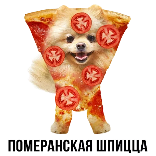 Лисы — 35