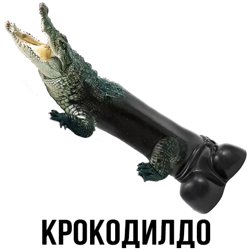 Лисы — 5