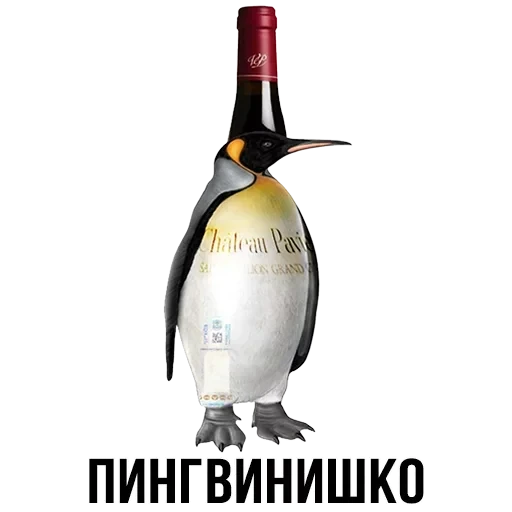 Лисы — 8