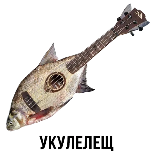 Лисы — 9