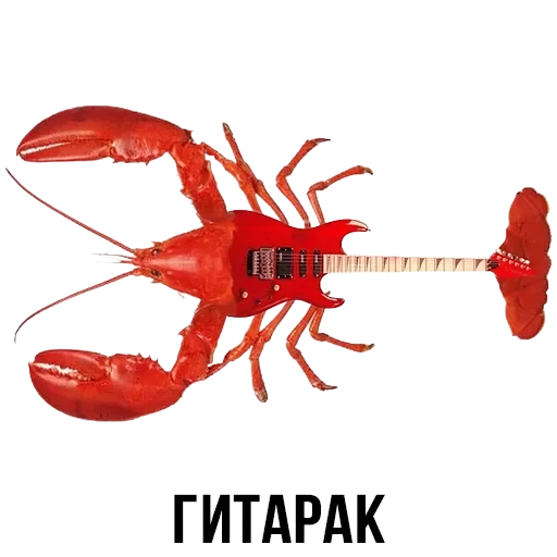 Лисы — 10