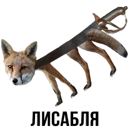 Лисы