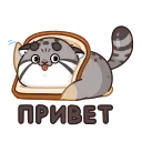 Беляш 👉 @ok_sticker_bot — 1